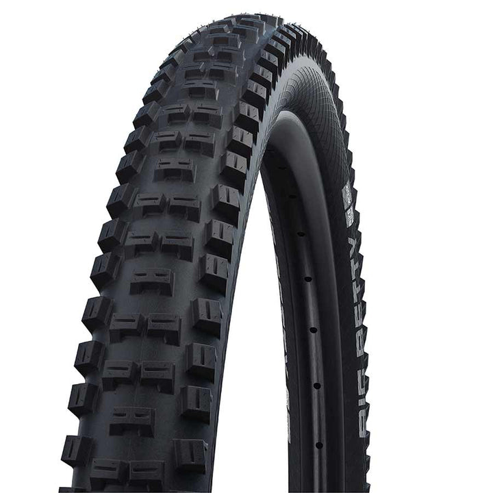 Schwalbe Big Betty MTB Tire