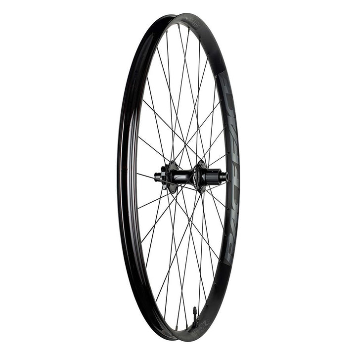 Rear, 29'' / 622, 12mm TA, 148mm, Disc IS 6-bolt, SRAM XD