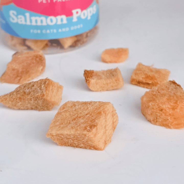 Freeze Dried Salmon Treats - Salmon Pops