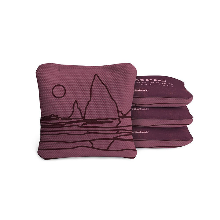 4-in Travel Dual-Sided Cornhole Bags | National Parks Collection