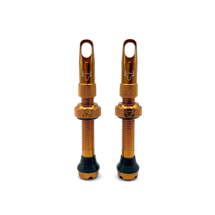 Hold Fast 42mm Insert Compatible Tubeless Valves in 16 Colors