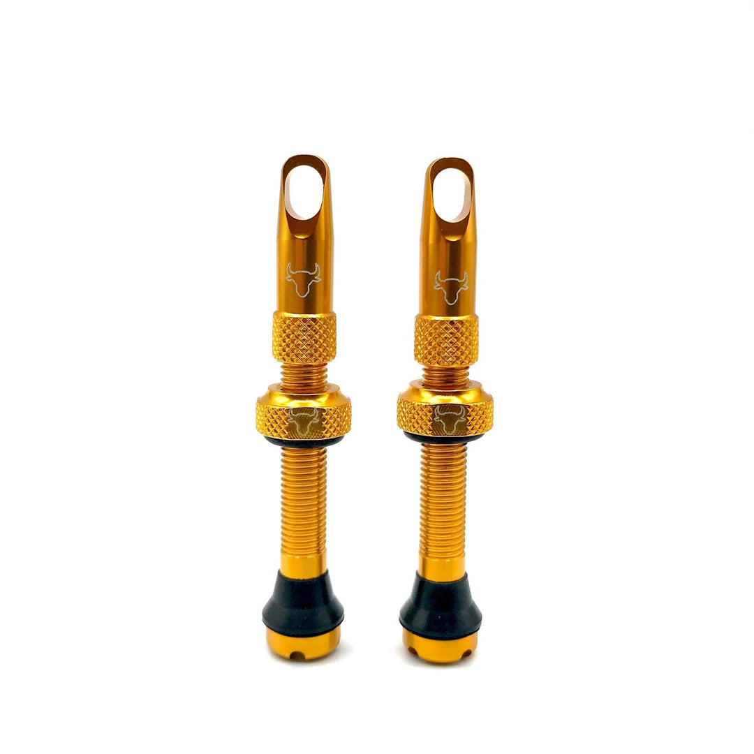 Hold Fast 42mm Insert Compatible Tubeless Valves in 16 Colors