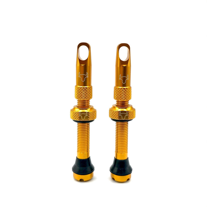 Hold Fast 42mm Insert Compatible Tubeless Valves in 16 Colors