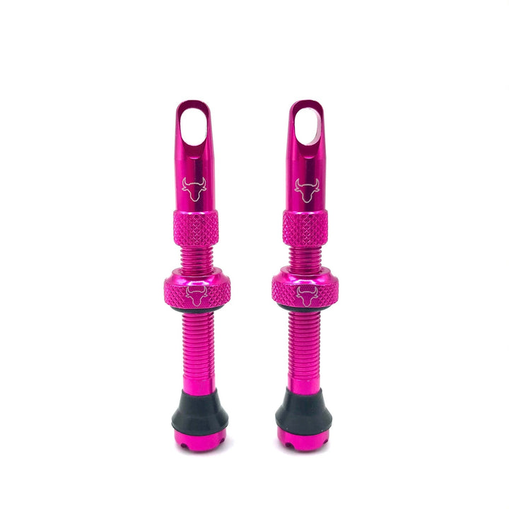 Hold Fast 42mm Insert Compatible Tubeless Valves in 16 Colors