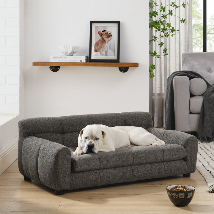 Modern Dark Gray Pet Sofa with Backrest and Armrests