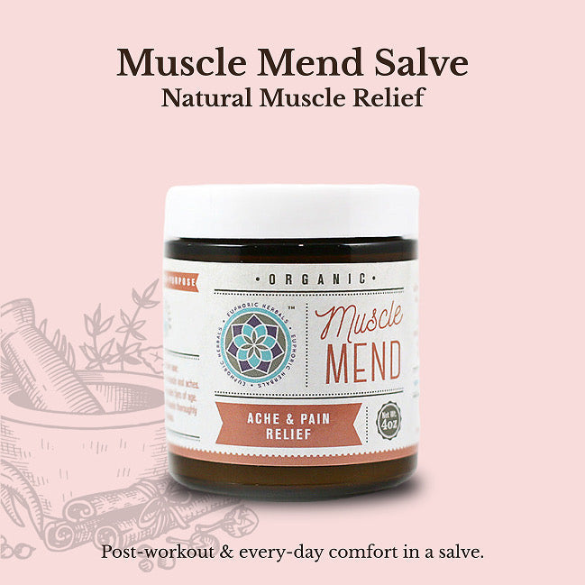 Euphoric Herbals Muscle Mend Salve