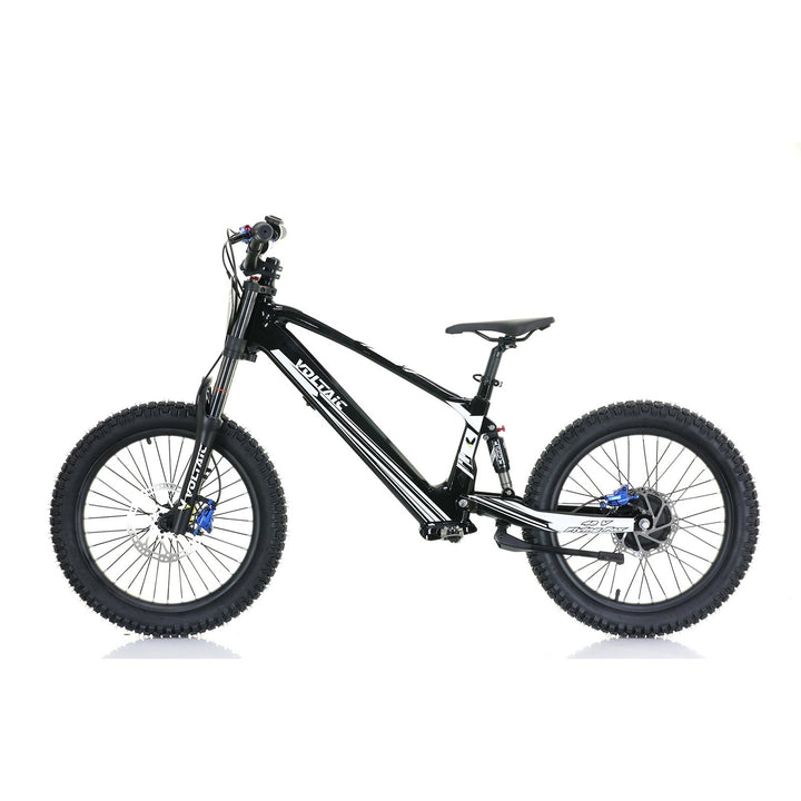 Voltaic Youth Electric Dirt Bike 20'' Flying Fox 48V