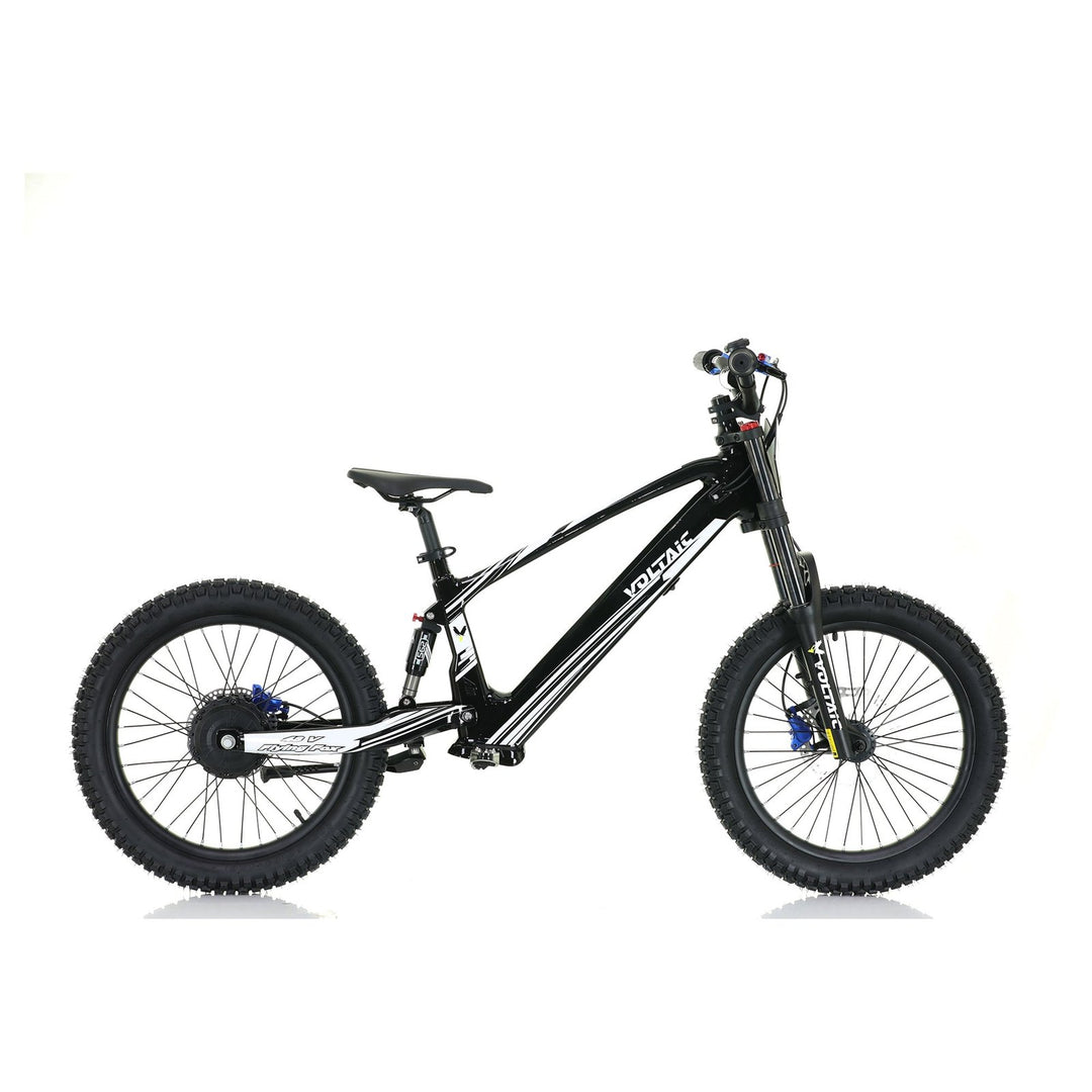 Voltaic Youth Electric Dirt Bike 20'' Flying Fox 48V