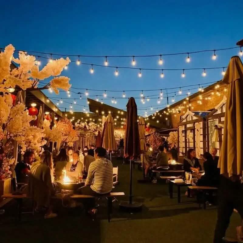 50 Ft. Solar String Outdoor Lights for Home and Garden