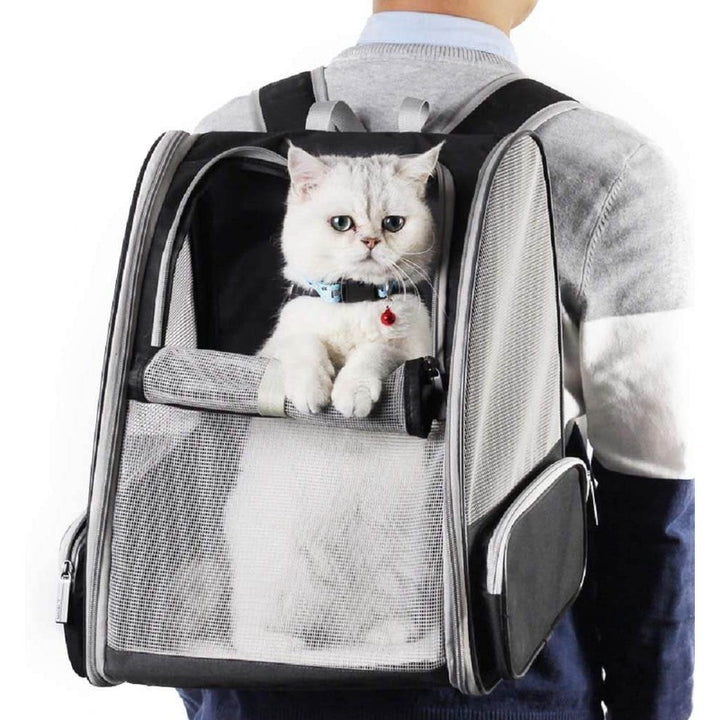 Texsens Innovative Traveler Bubble Backpack Pet Carriers for Cats and Dogs Black