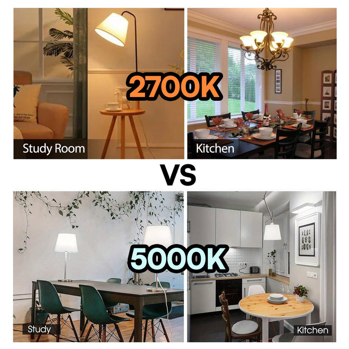 A19 LED Light Bulbs - Energy Efficient 4-Pack