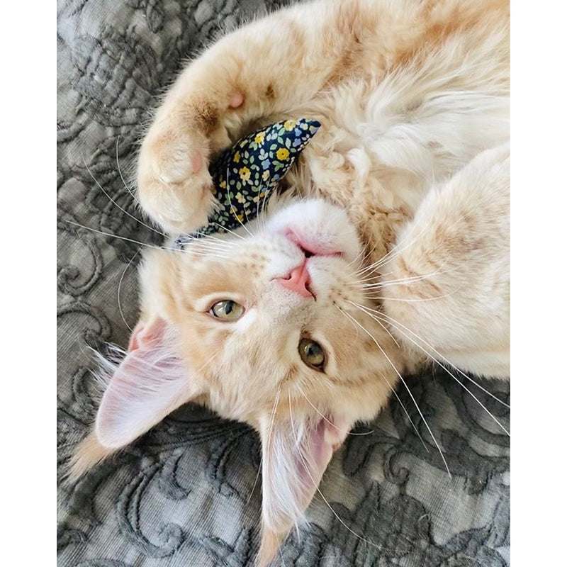 MODERN MOUSE - FLORAL