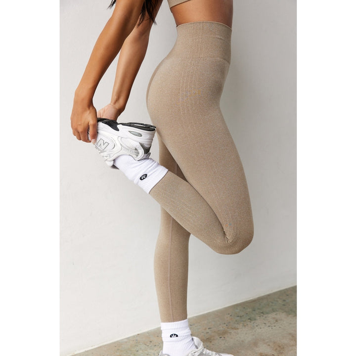 Astoria CONTOUR Seamless Legging - Mocha