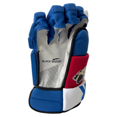 ALEX Hockey Gloves for Players - Red/White/Blue