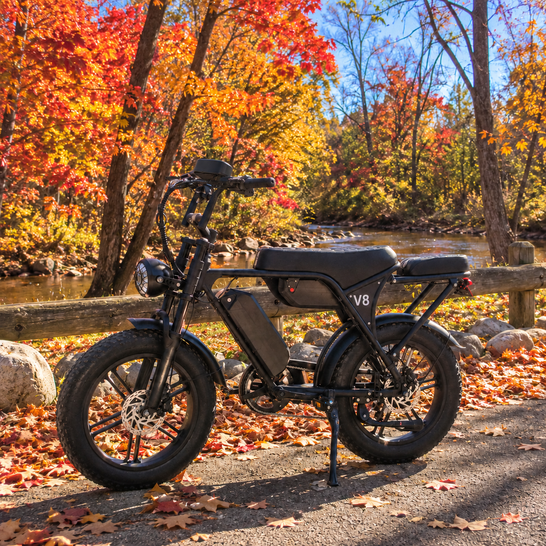 V8 Fat Tire Electric Bike
