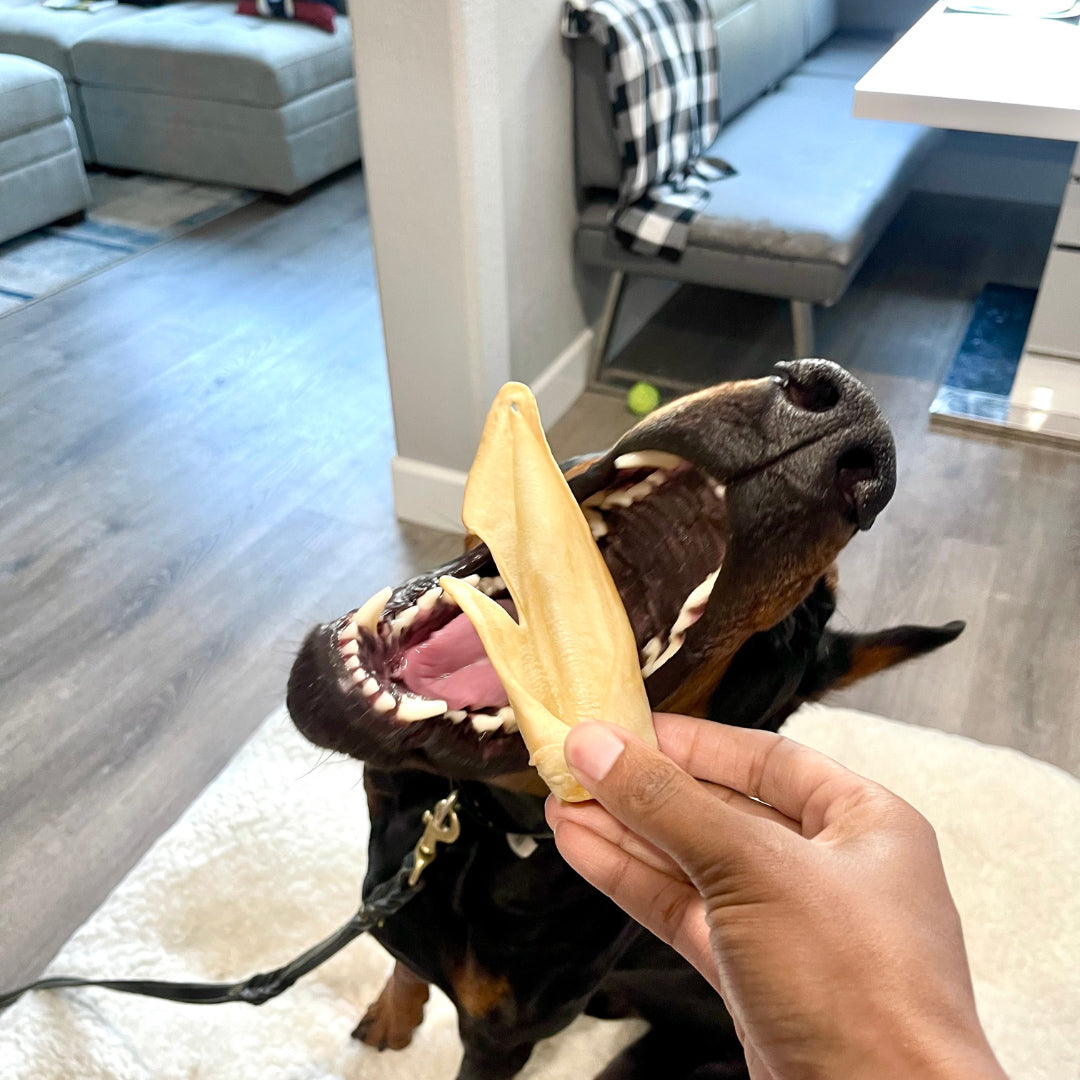 Natural Dog Chews - Lamb Ears