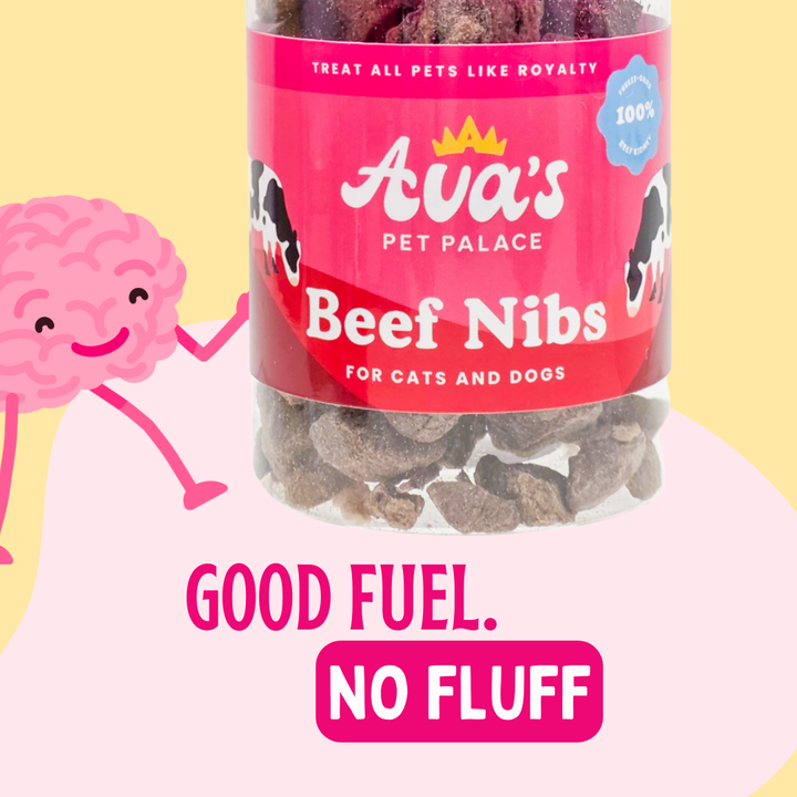Freeze Dried Beef Kidney - Beef Nibs