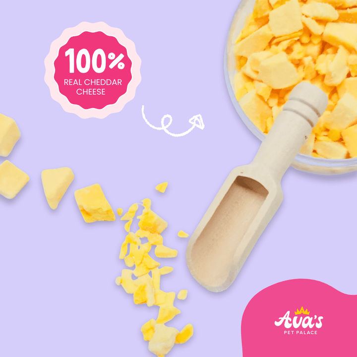 Freeze Dried Cheddar Pop Topper