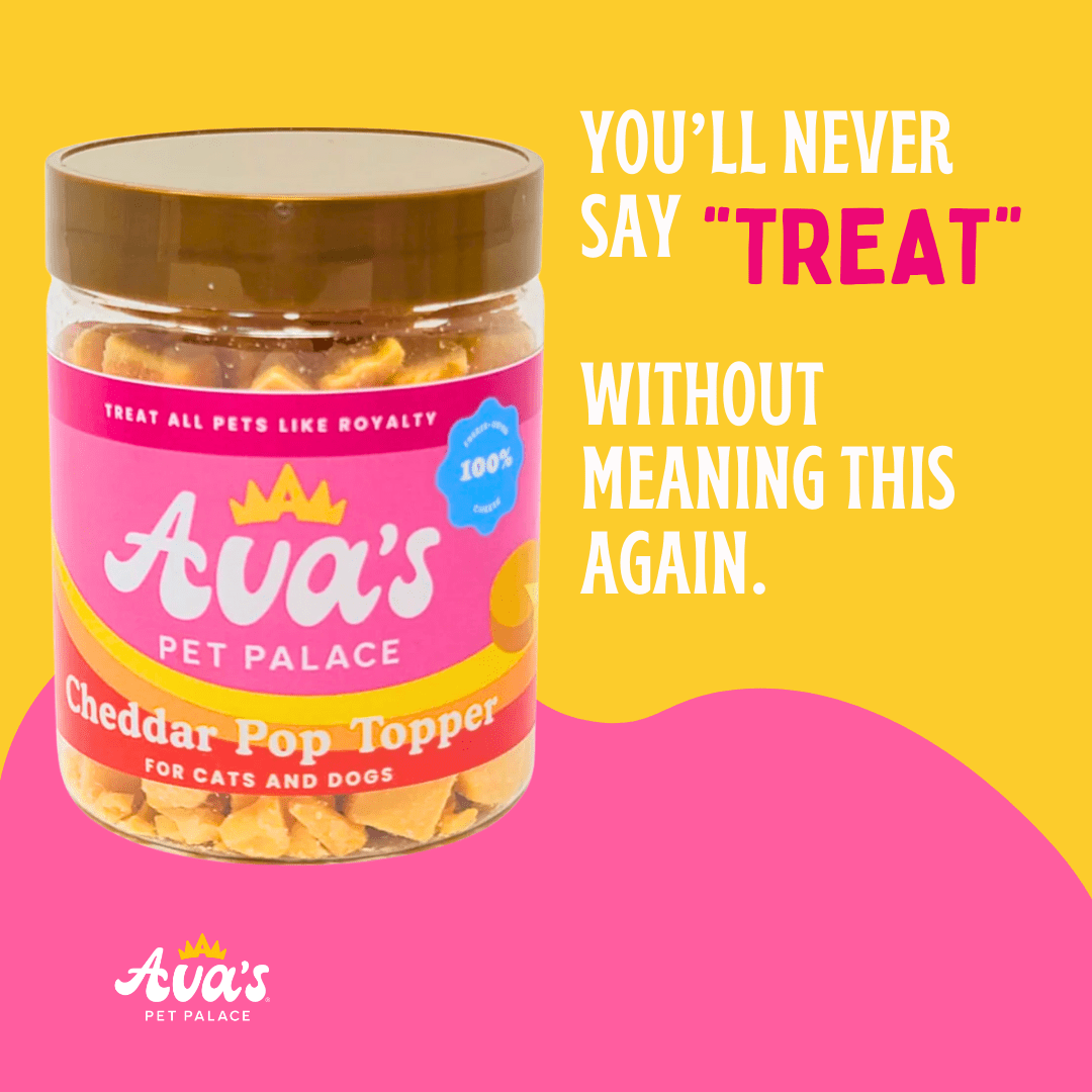 Freeze Dried Cheddar Pop Topper