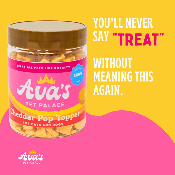 Freeze Dried Cheddar Pop Topper