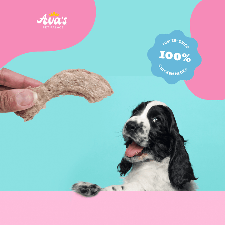 Freeze Dried Chicken Neck - Chicken Twists