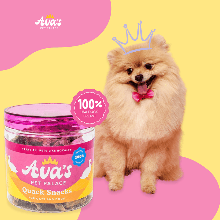 Freeze Dried Duck Breast - Quack Snacks