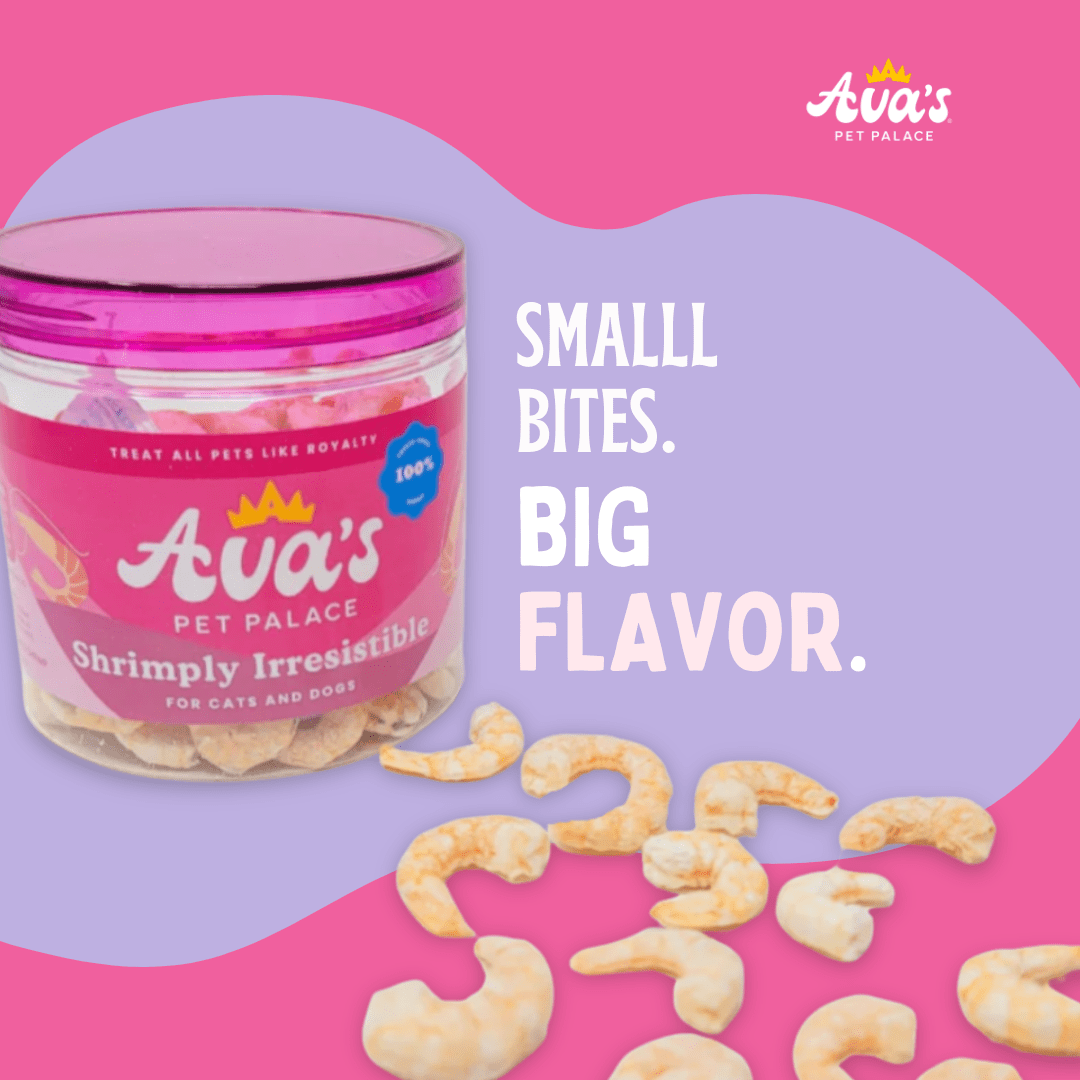 Freeze Dried Shrimp - Shrimply Irresistable