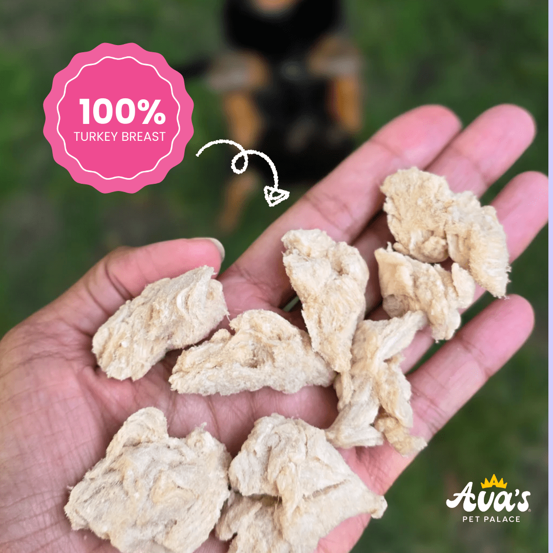 Freeze Dried T-Day Bites - Turkey Breast