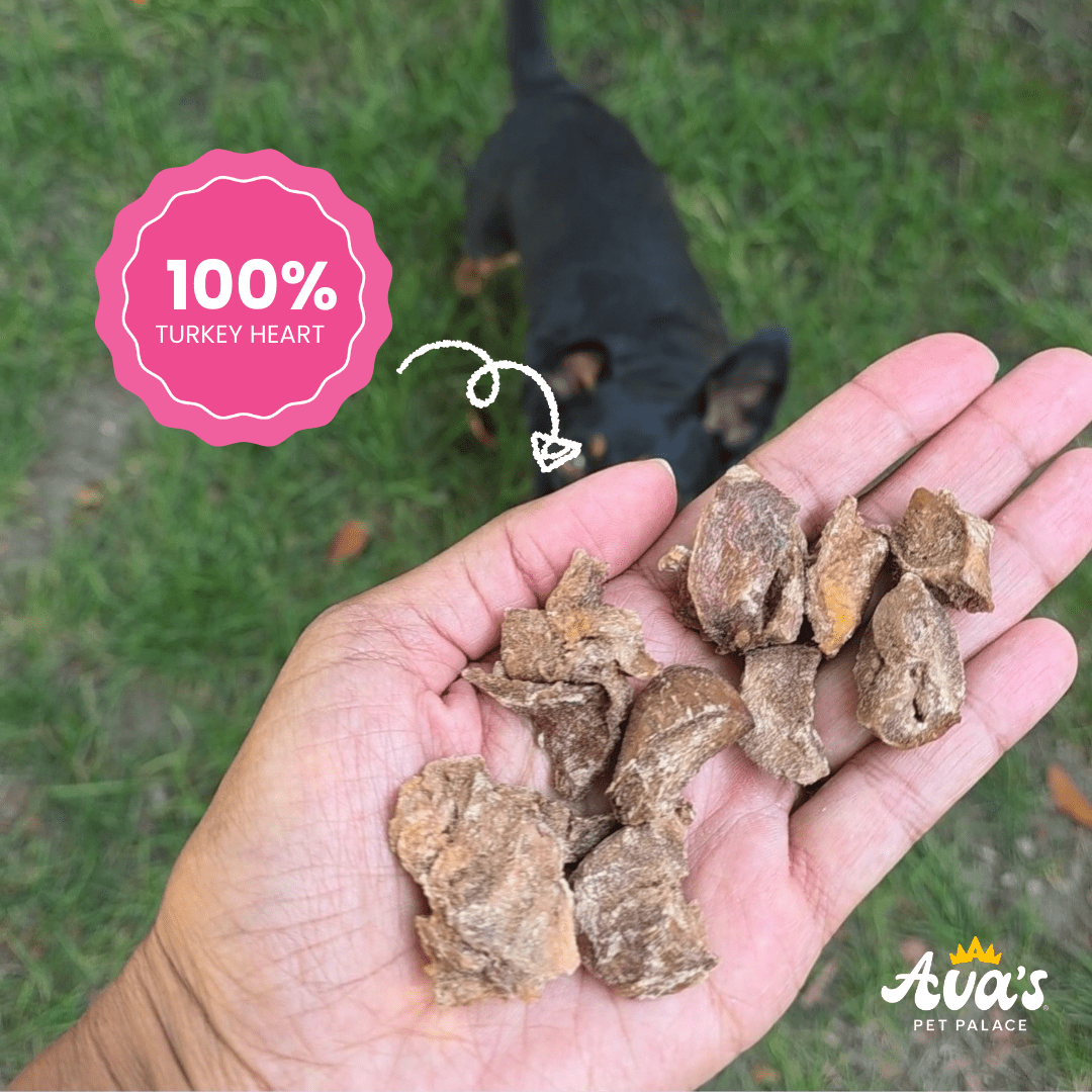 Freeze Dried Hearty Party - Turkey Heart