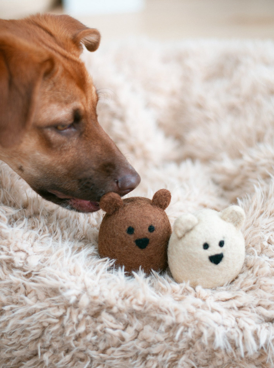 Natural Polar Bear Wool Dog Toy for Small Pups