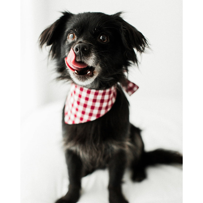 GINGHAM BANDANA