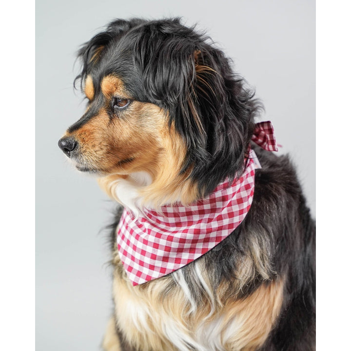 GINGHAM BANDANA