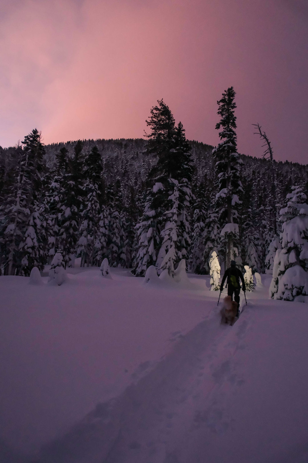 Outdoor Tech Beacon Rechargeable 500 Lumen Headlamp
