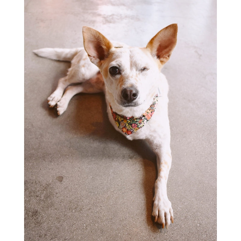 FLORAL BANDANA