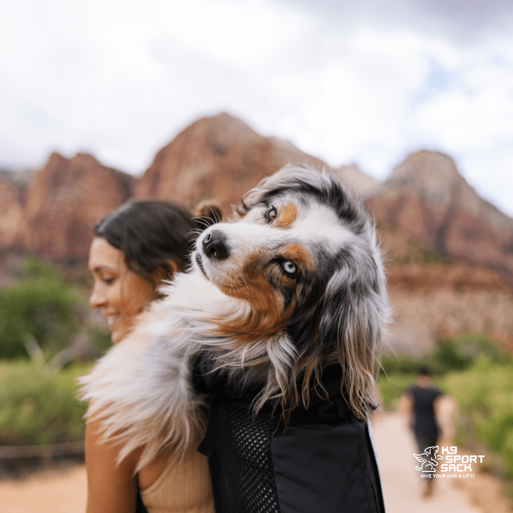 K9 Sport Sack Knavigate | Advanced Dog Carrier with Internal Frame & Hip Belt