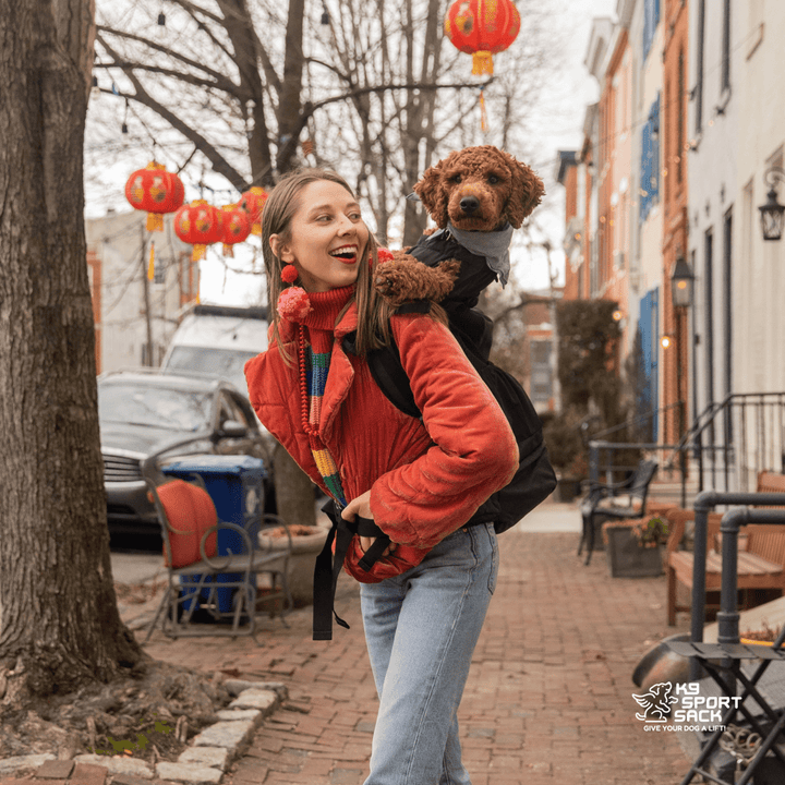 K9 Sport Sack Knavigate | Advanced Dog Carrier with Internal Frame & Hip Belt