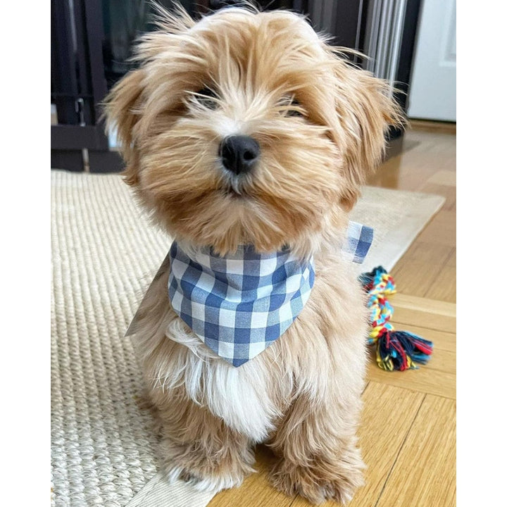 GINGHAM BANDANA