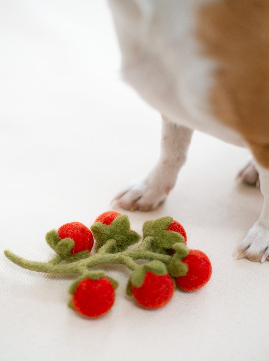 Cherry Tomato Vine Wool Dog & Cat Toy for Play
