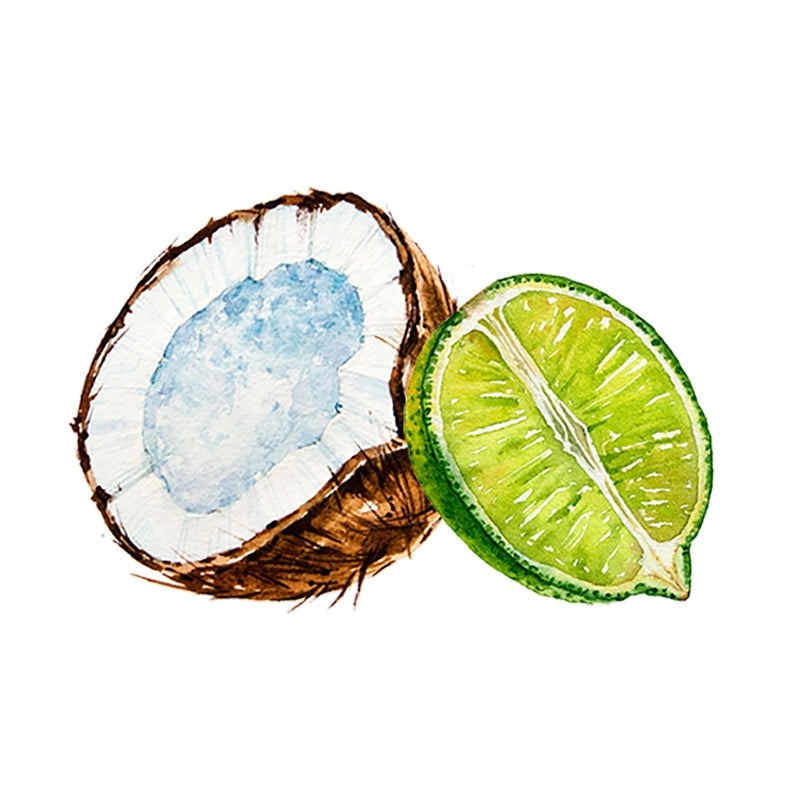 Rustic Strength Coconut & Lime EO / FO Blend