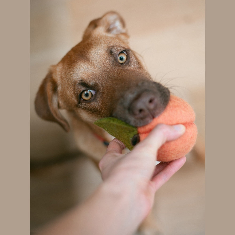 DOGGY PEACH