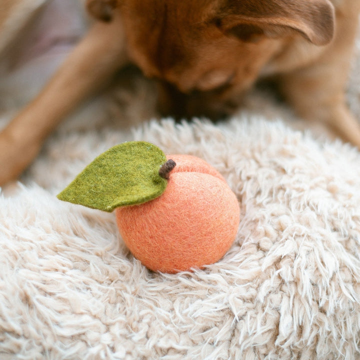 DOGGY PEACH