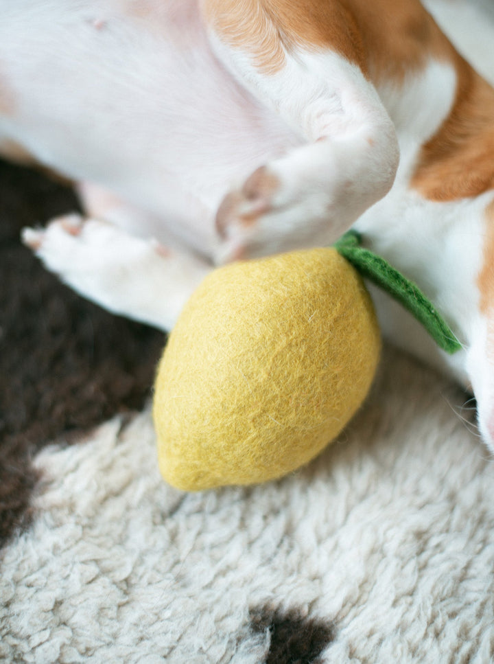 Wool Dog and Cat Toy - Lemon Shape Set of 2