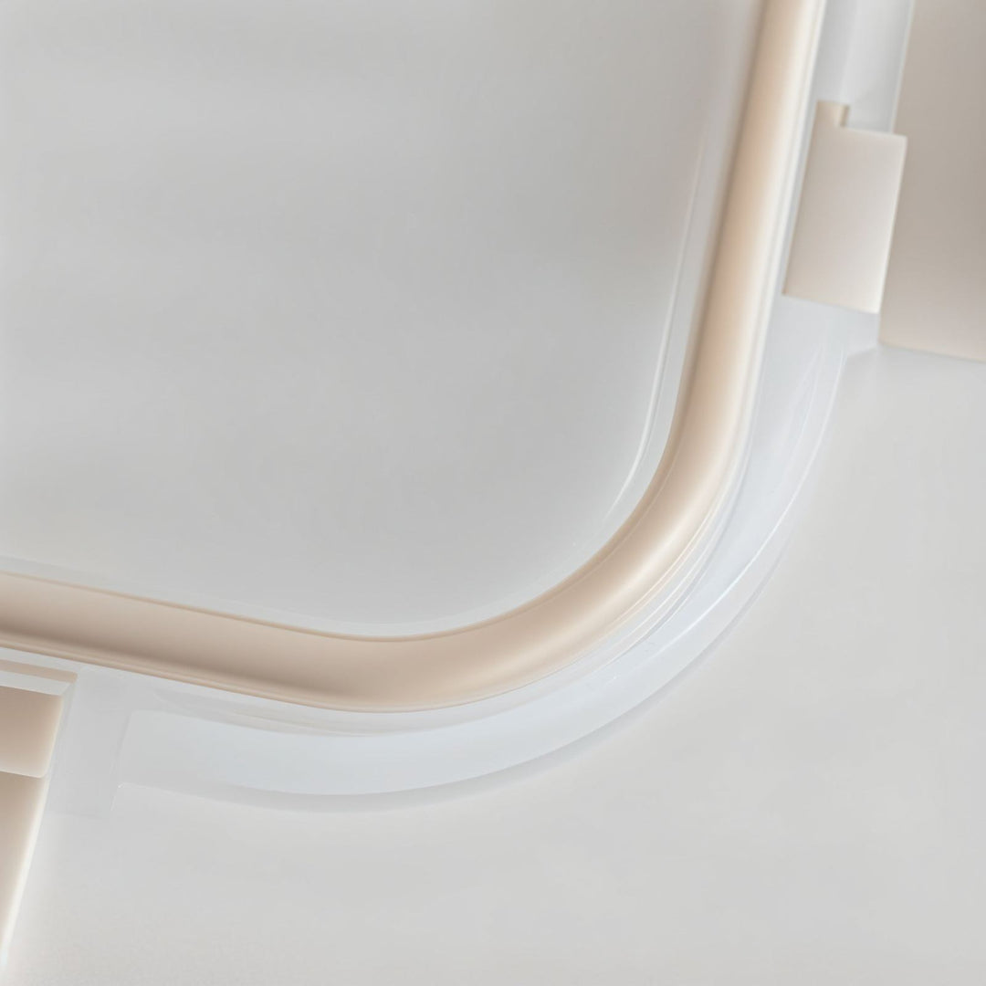 Glass Bento Box - Divided Vanilla