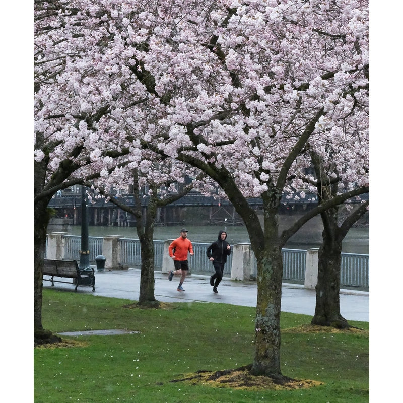 Showers Pass Ultralight Wind Jacket