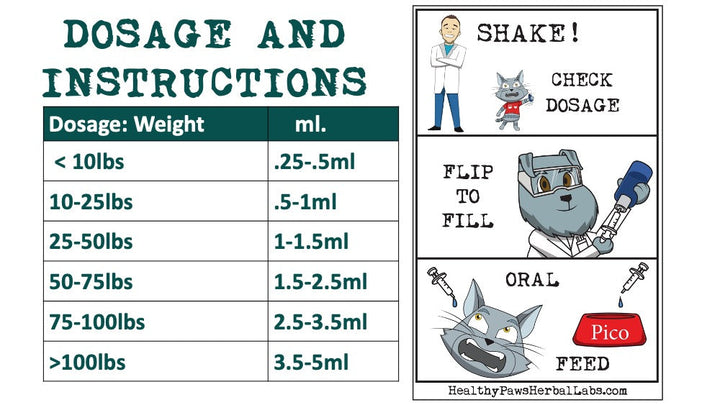 Itchy Scratchy - The Solution for Pet Allergies