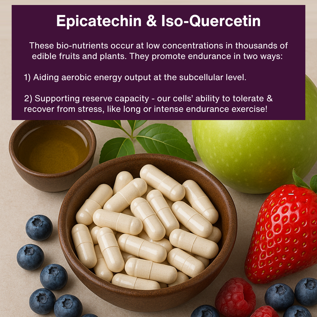 Grit Fuel Endurance Capsules for Peak Performance