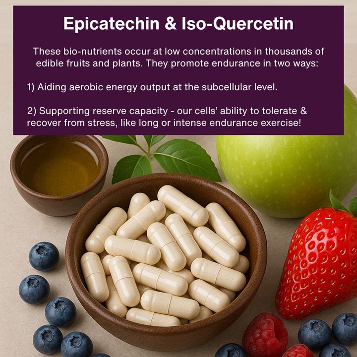 Grit Fuel Endurance Capsules for Peak Performance