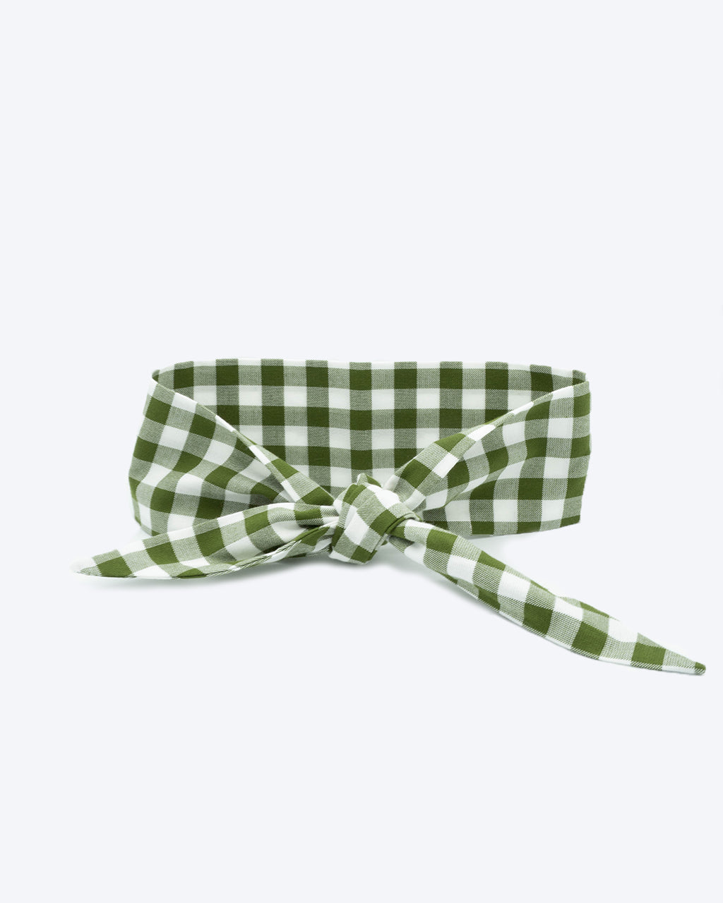 Adventure Necktie for Dogs and Pets - Unique Design