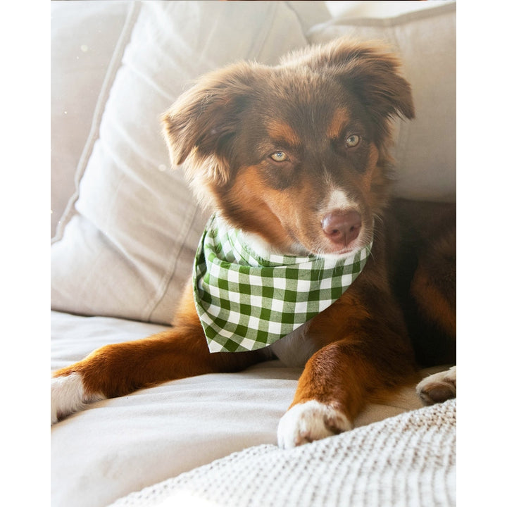 GINGHAM BANDANA
