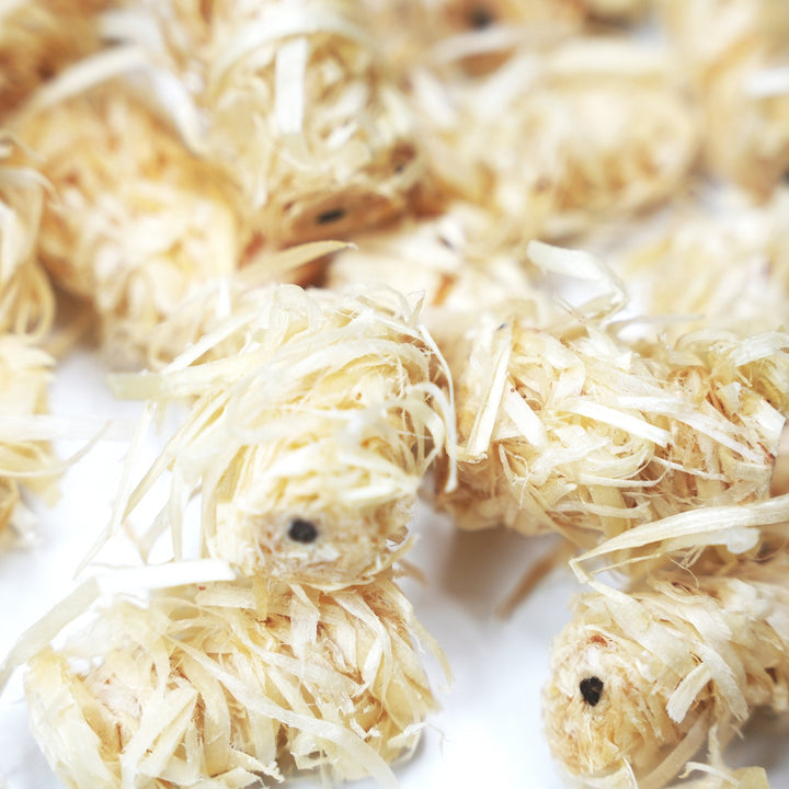 Waterproof Fire Starters for Instant Ignition